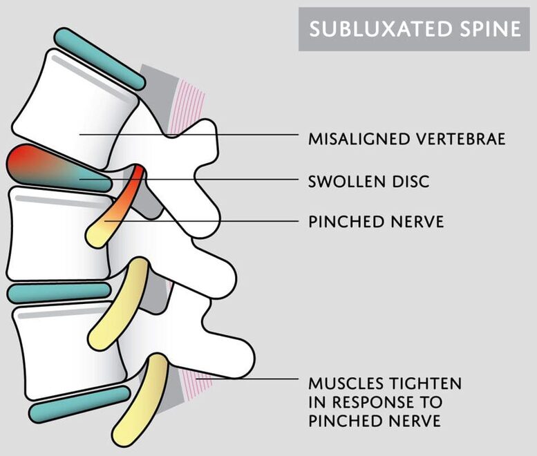 Dr. Bryson Langel, D.C.