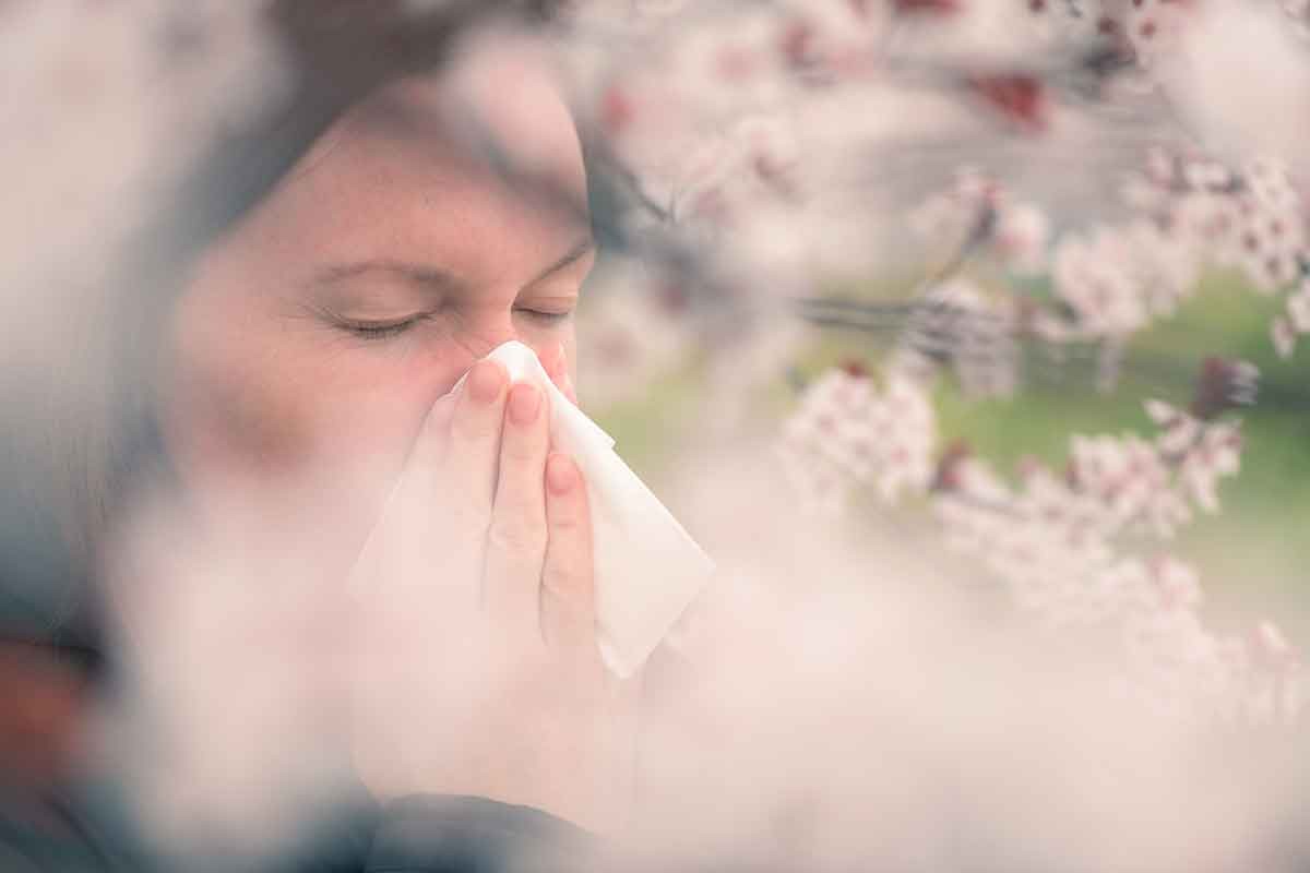 Combat Allergen Season Now: The Best Solutions for You and Your Family