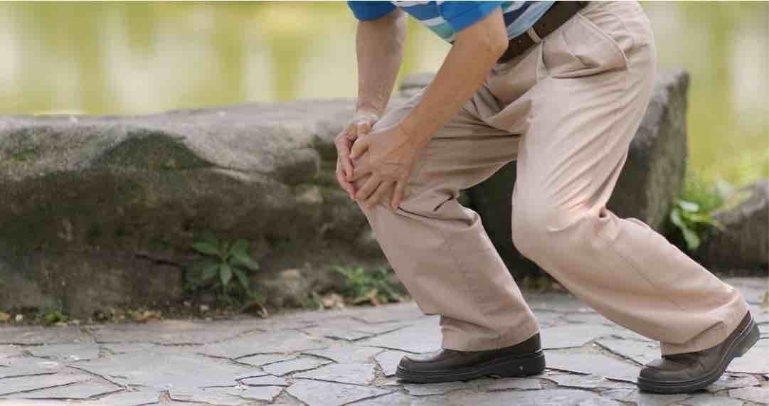 상부 경추의 역할과 목적