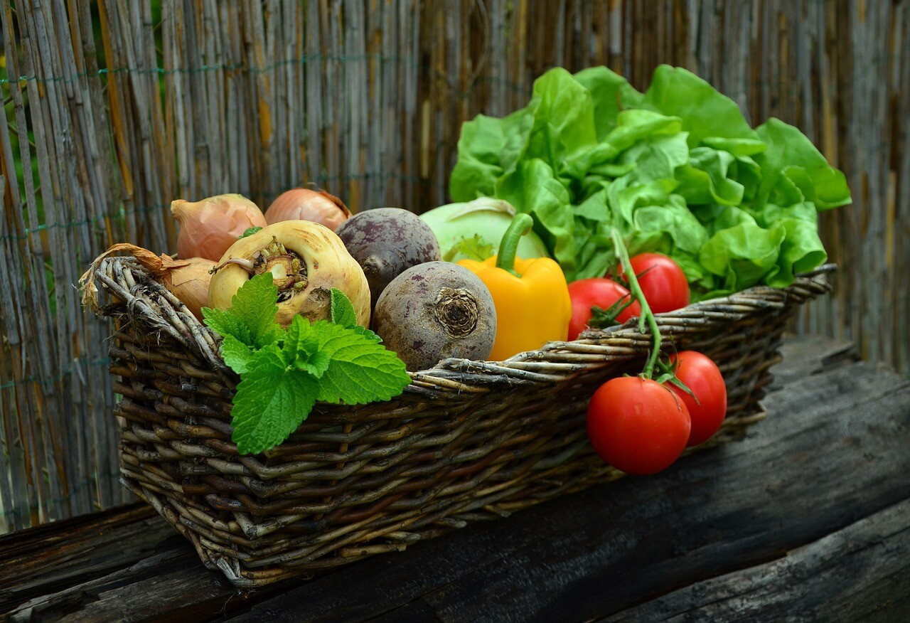 Nourishing Nature: The Power of Vegetables in Our Diet